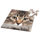 Q Puzzles Curiosi série Animaux