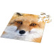 Q Puzzles Curiosi série Animaux