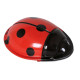 Cliquet Clic Clac Coccinelle